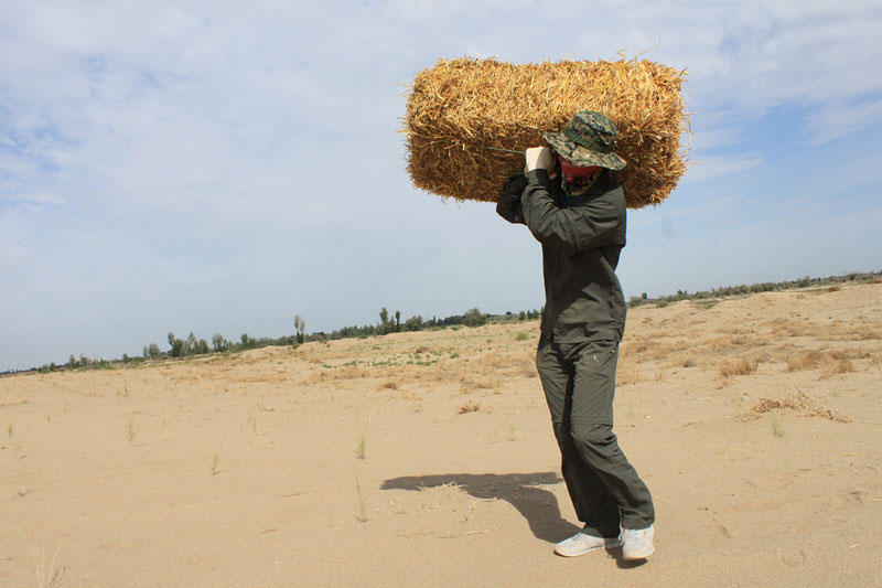 �F(tu��n)�T���i�������������ϳ����������������؟(z��)�Ρ�