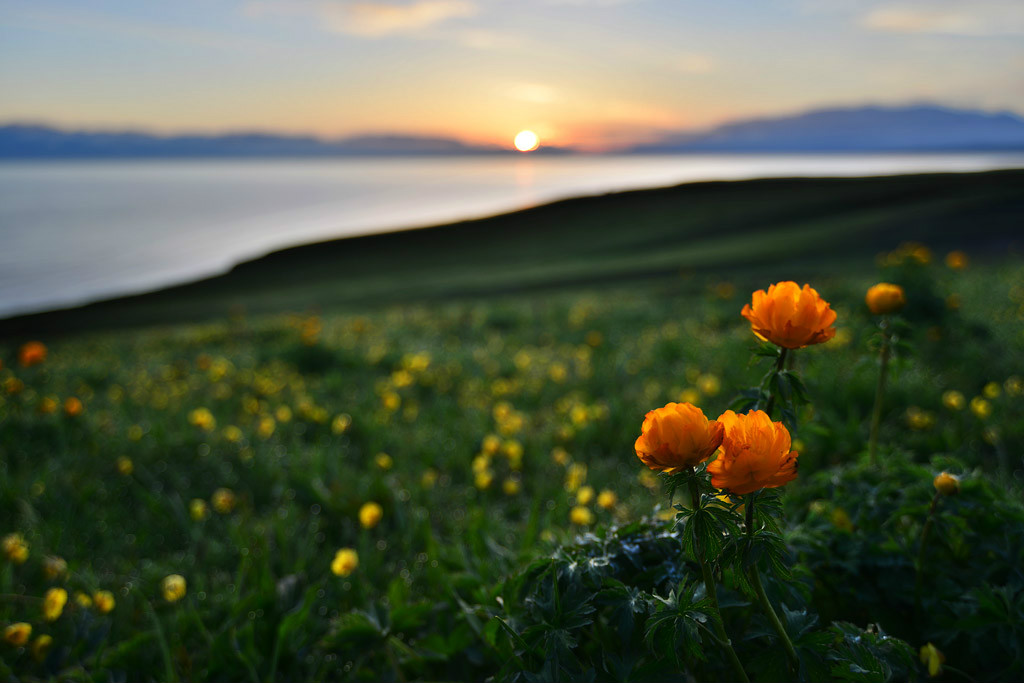 ��������l(xi��ng)�ĸ�᣿