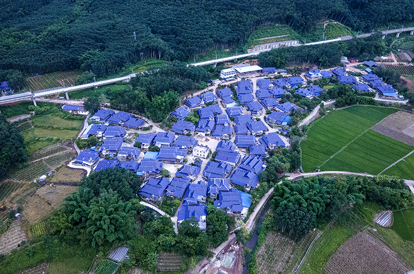 磨憨鎮(zhèn)曼莊村大龍哈小組現(xiàn)代化邊境幸福村新貌。人民網(wǎng)記者 符皓攝