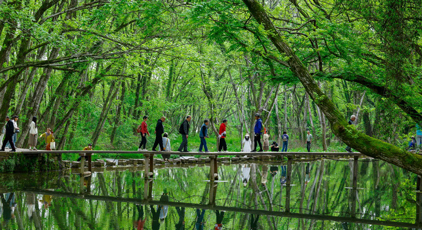 安徽黃山：春風(fēng)又綠西溪南